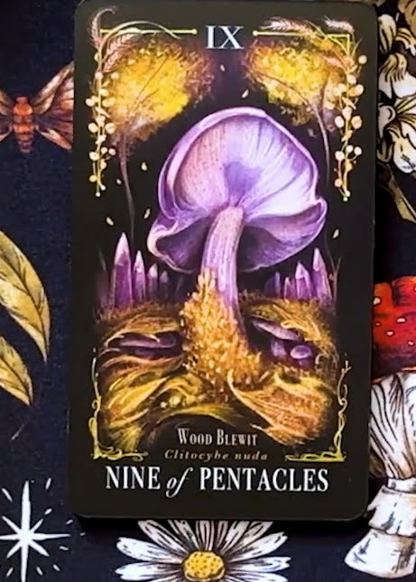 Midnight Magic: A Tarot Deck of Mushrooms